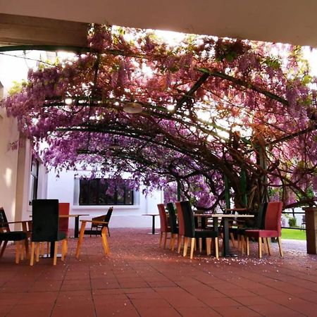Vina Femita Hostel บียาฟรันกา เดล เบียร์โซ ภายนอก รูปภาพ