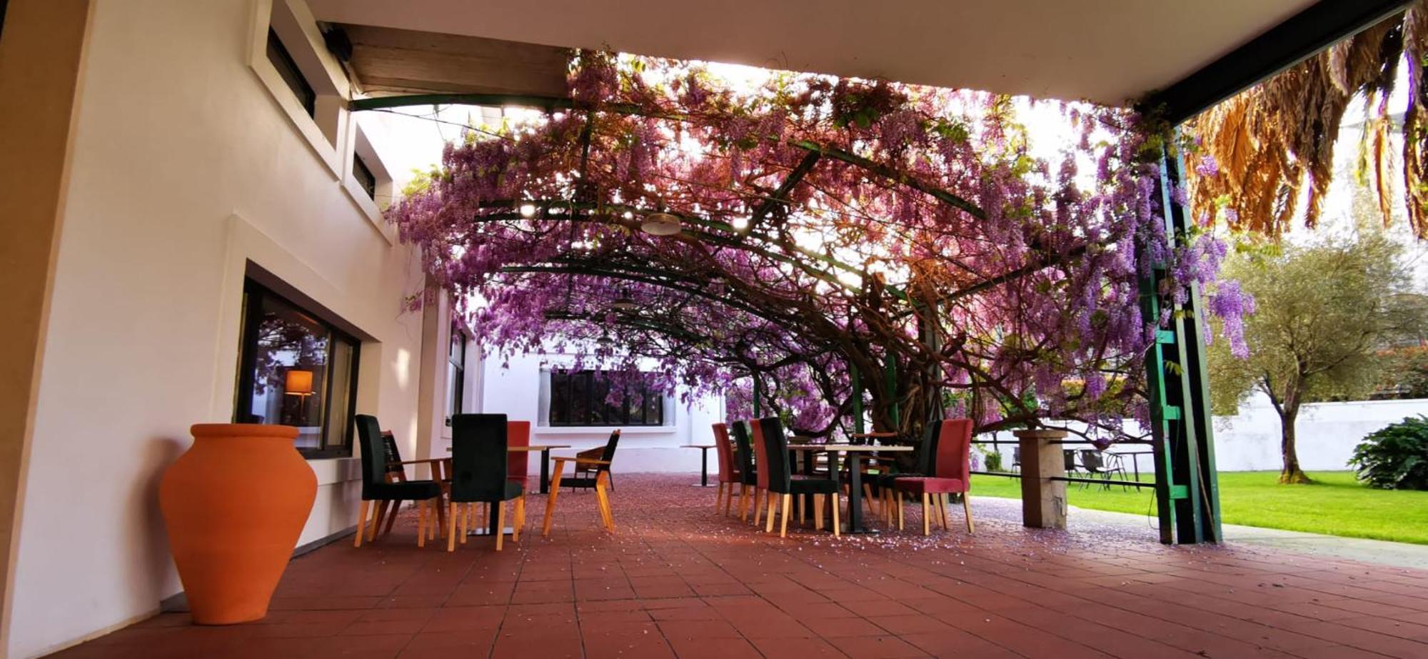 Vina Femita Hostel บียาฟรันกา เดล เบียร์โซ ภายนอก รูปภาพ